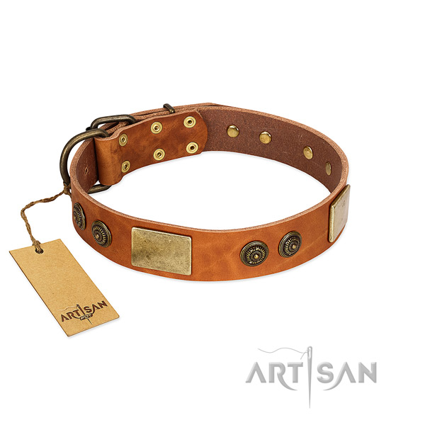 Extraordinary genuine leather dog collar for daily walking