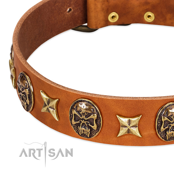 Corrosion proof fittings on full grain leather dog collar for your pet