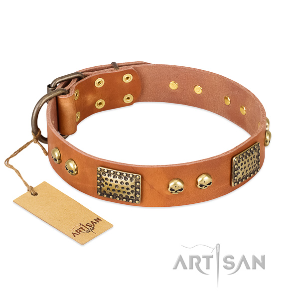 Easy to adjust full grain genuine leather dog collar for stylish walking your dog