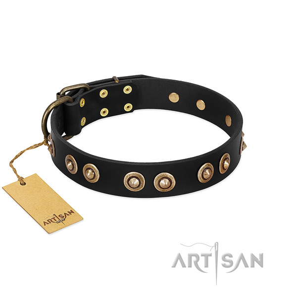 Durable studs on leather dog collar for your canine