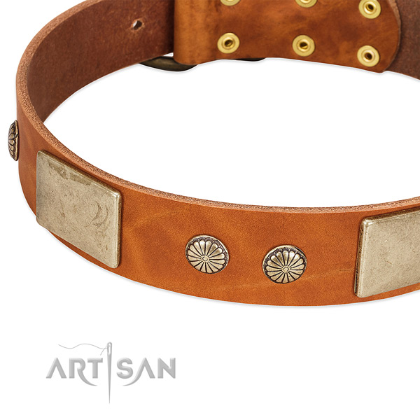 Durable traditional buckle on genuine leather dog collar for your doggie