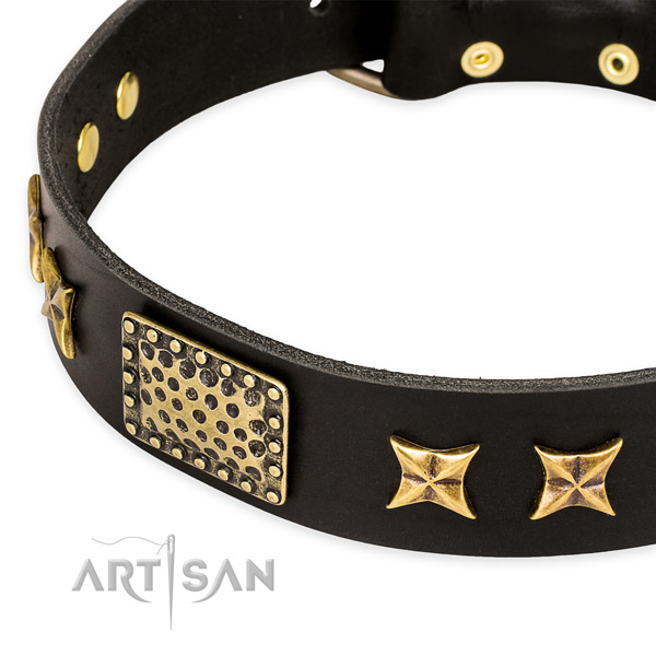Full grain genuine leather collar with strong traditional buckle for your stylish pet