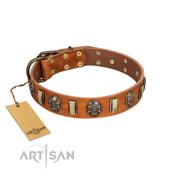 Stylish design genuine leather dog collar for fancy walking