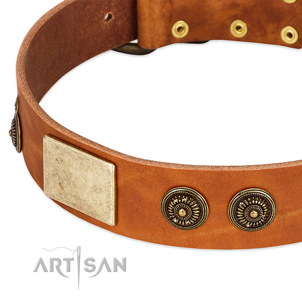 Unique dog collar handmade for your attractive pet