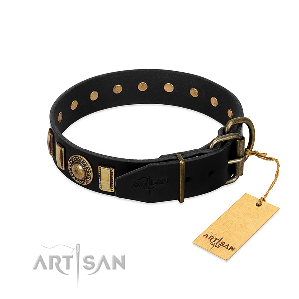 Top notch genuine leather dog collar with adornments