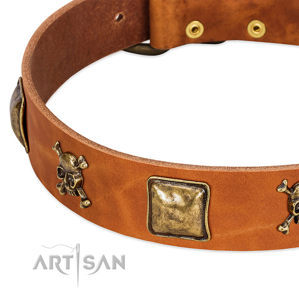 Stylish design full grain leather dog collar with durable decorations