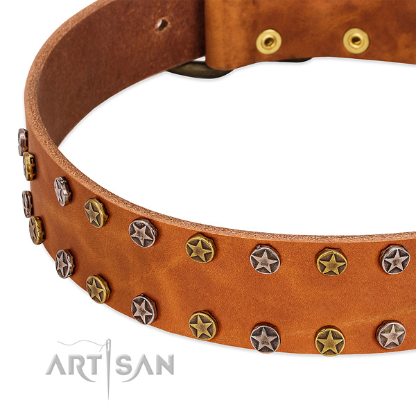 Handy use natural leather dog collar with unique adornments