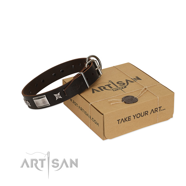 Convenient collar of full grain natural leather for your attractive doggie