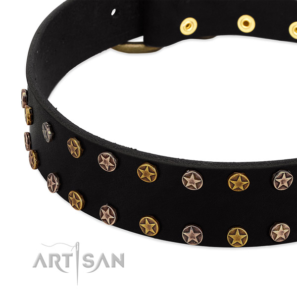 Stylish design decorations on natural leather collar for your doggie