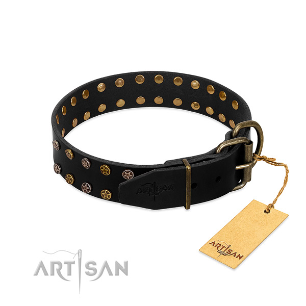 Leather collar with amazing adornments for your dog