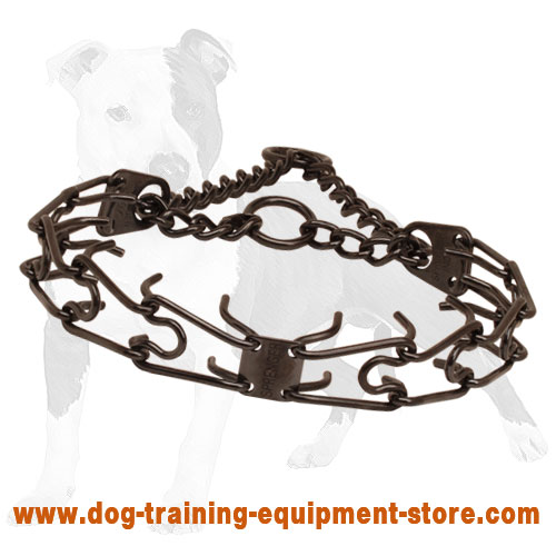 Prong collar of rust-proof black stainless steel for badly behaved pets