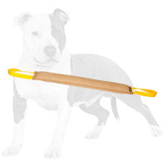 Long leather dog tug for advanced bite training